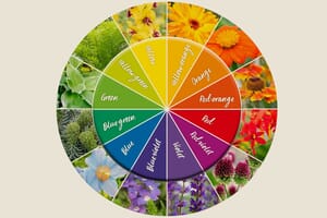 How to use the colour wheel in colour theory in garden design