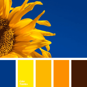 Colour Theory in Garden Design - Complimentary colour palette