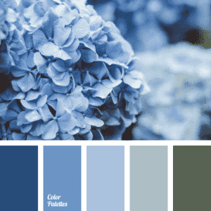 Colour Theory in Garden design - monochromatic blue colour palette