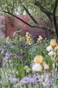 Spring Garden Design - Keltie and Clark