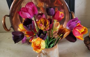 Spring Bulbs - garden design Cotswolds