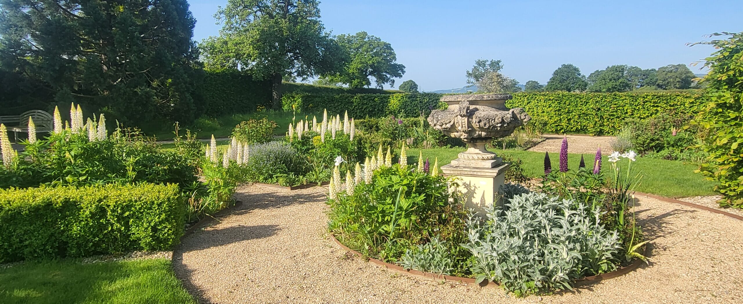 Sustainable Landscaping design trends 2024