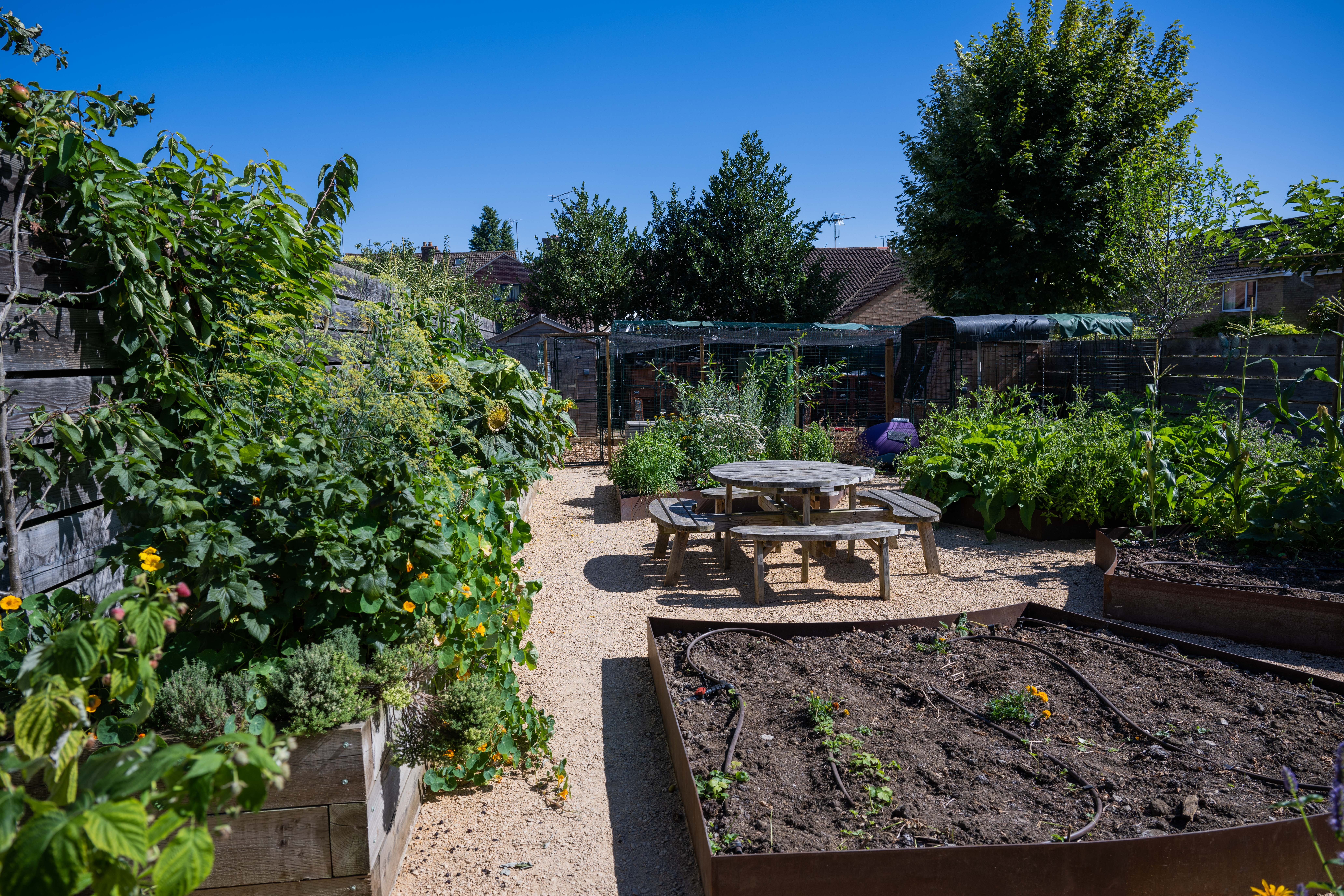 Do ensure you have a great spot for your sustainable garden design veg plot patch in your garden