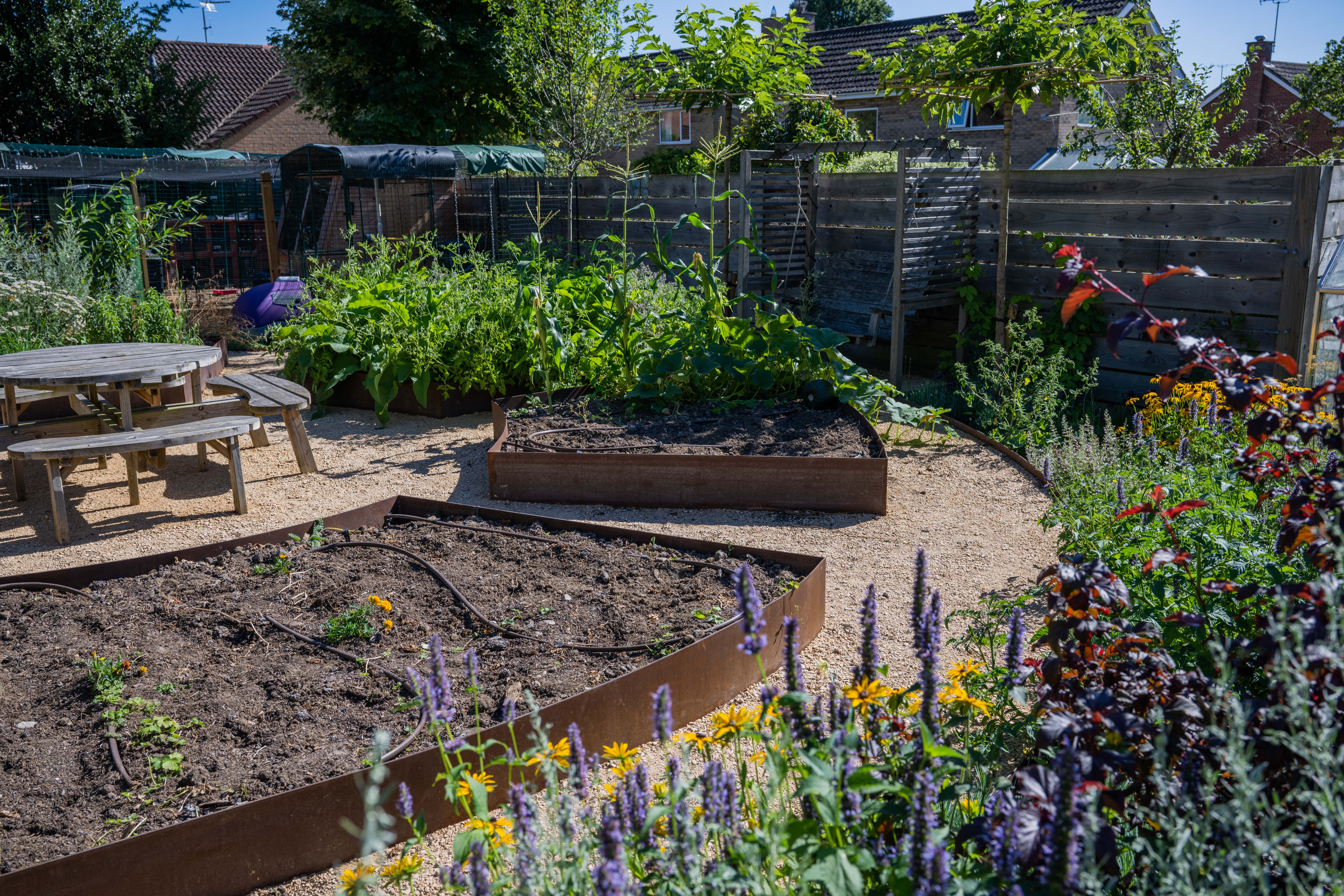 Plot a veg patch in your garden with our sustainable garden design dos and don'ts