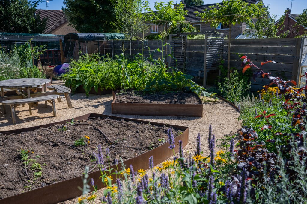 Plot a veg patch in your garden with our sustainable garden design dos and don'ts