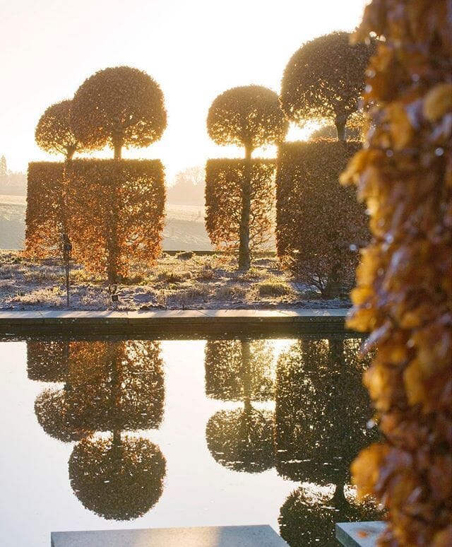Topiary at Broughton Grange by Clive Nichols
