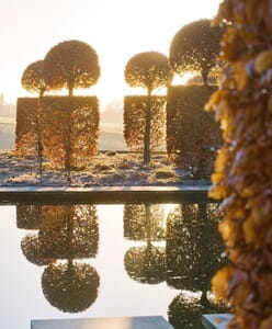 Topiary at Broughton Grange by Clive Nichols