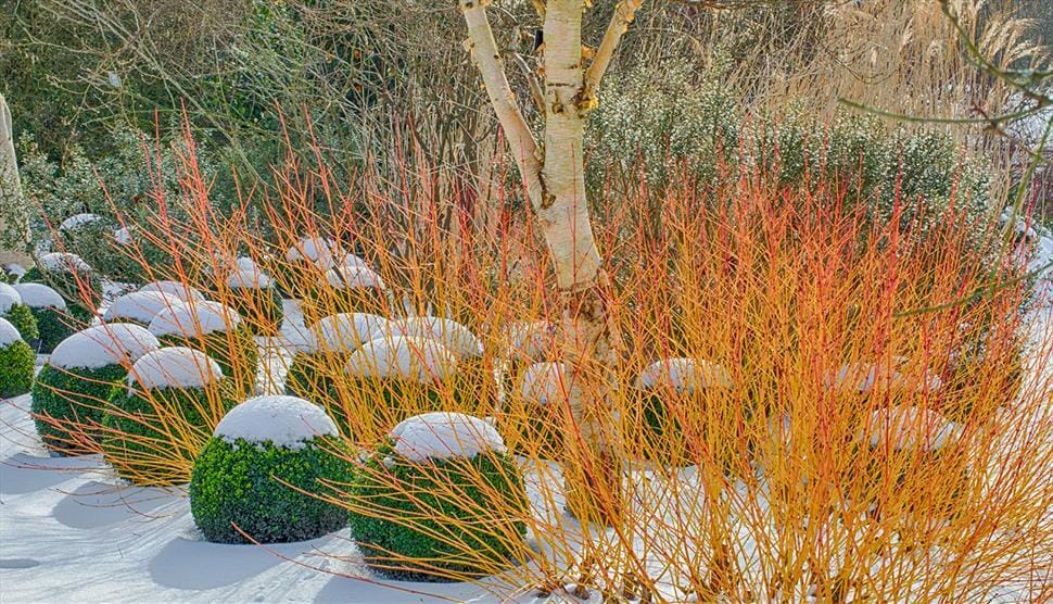 box balls with snow caps