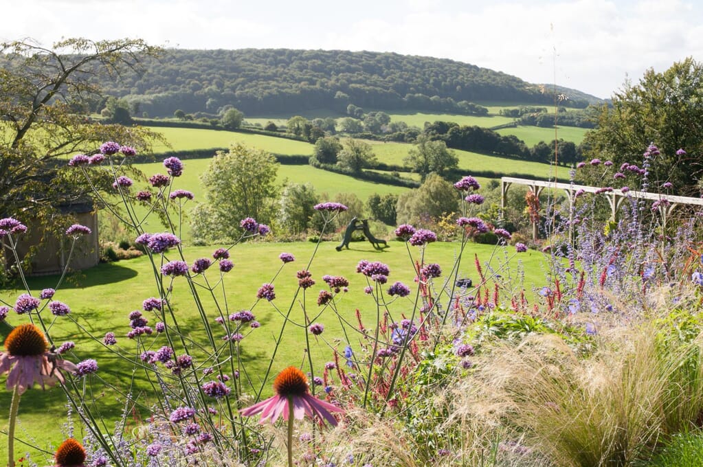 Using plants to create a cosy garden design - Keltie & Clark