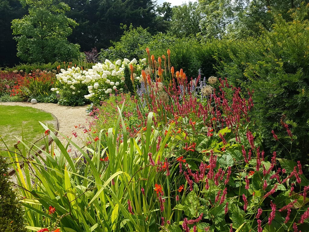 Design a cosy outdoor living space by using plants - Guide by Keltie & Clark