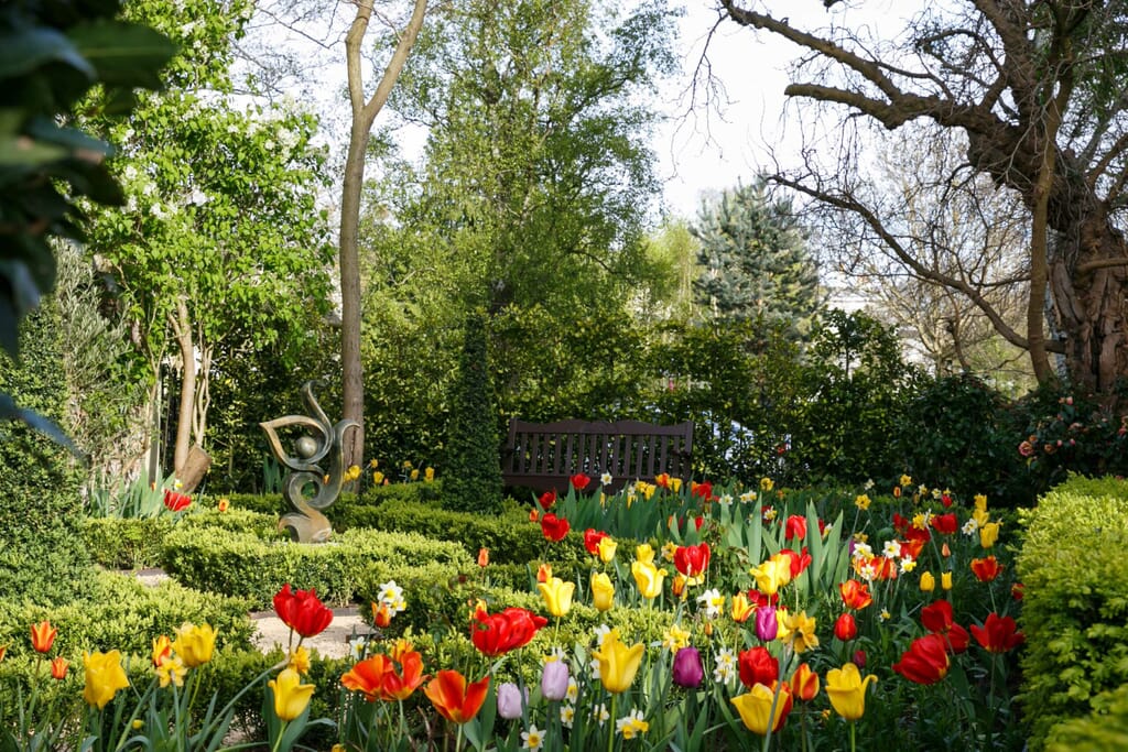 Plant's play such a pivotal role in having a cosy garden design
