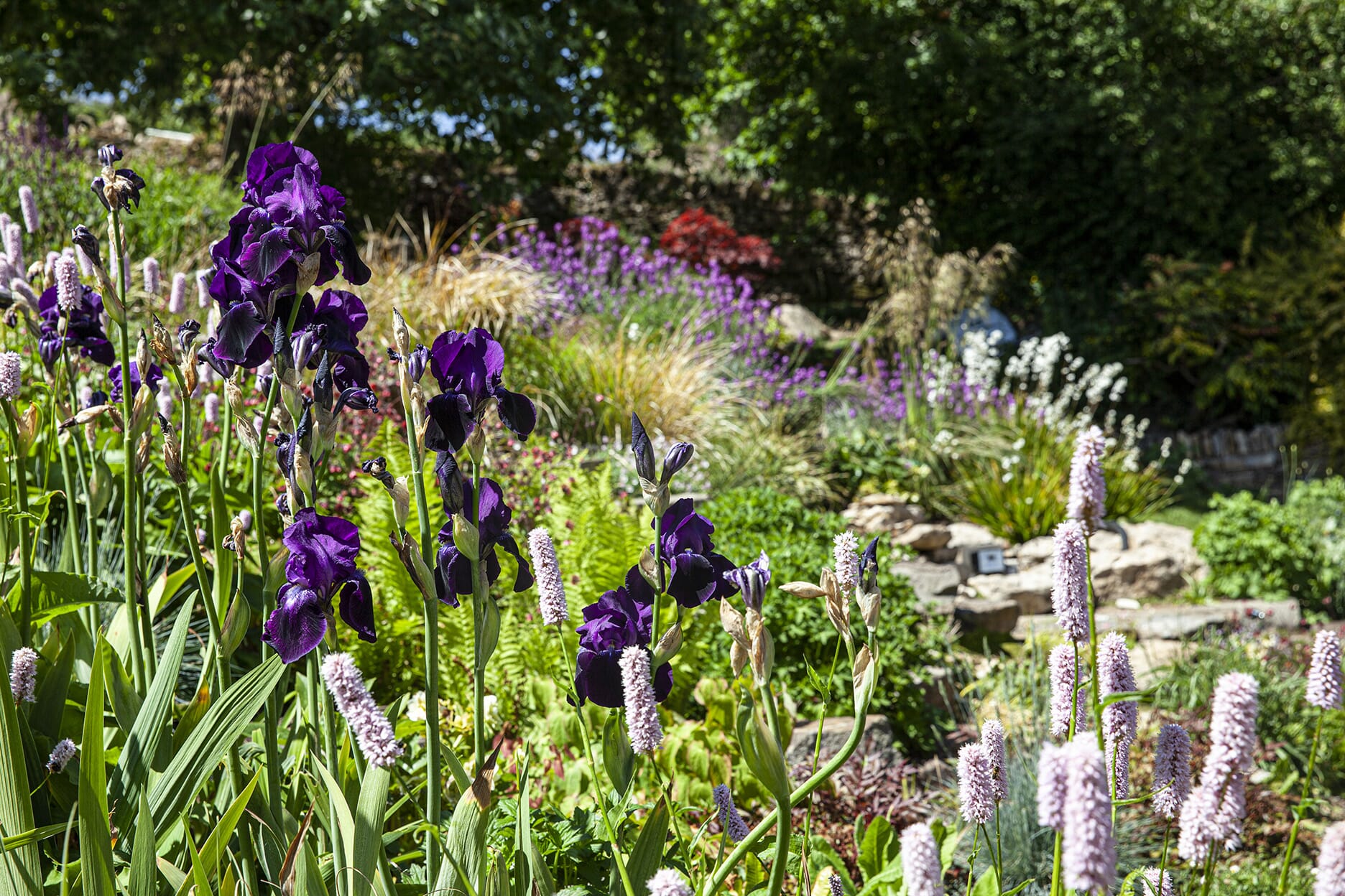 Cosy Garden Design Ideas by Keltie & Clark