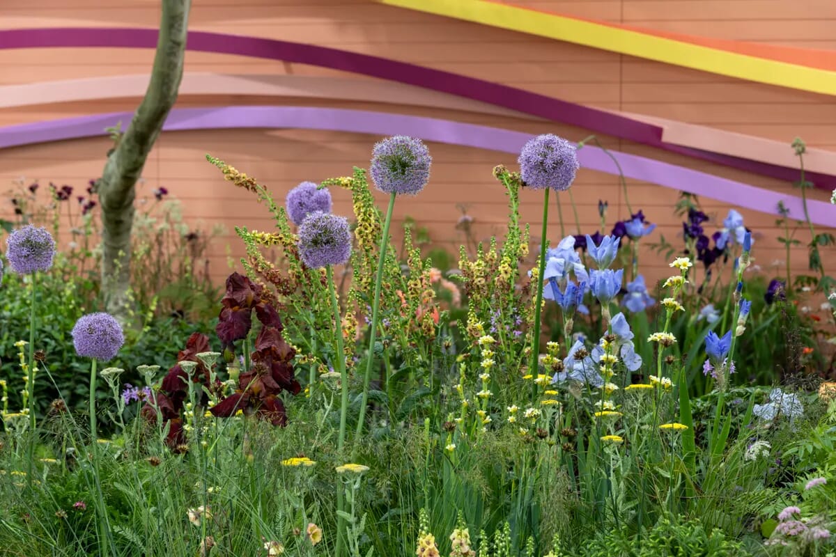 Chelsea2024 H8A0562 May 19 2024 scaled 1