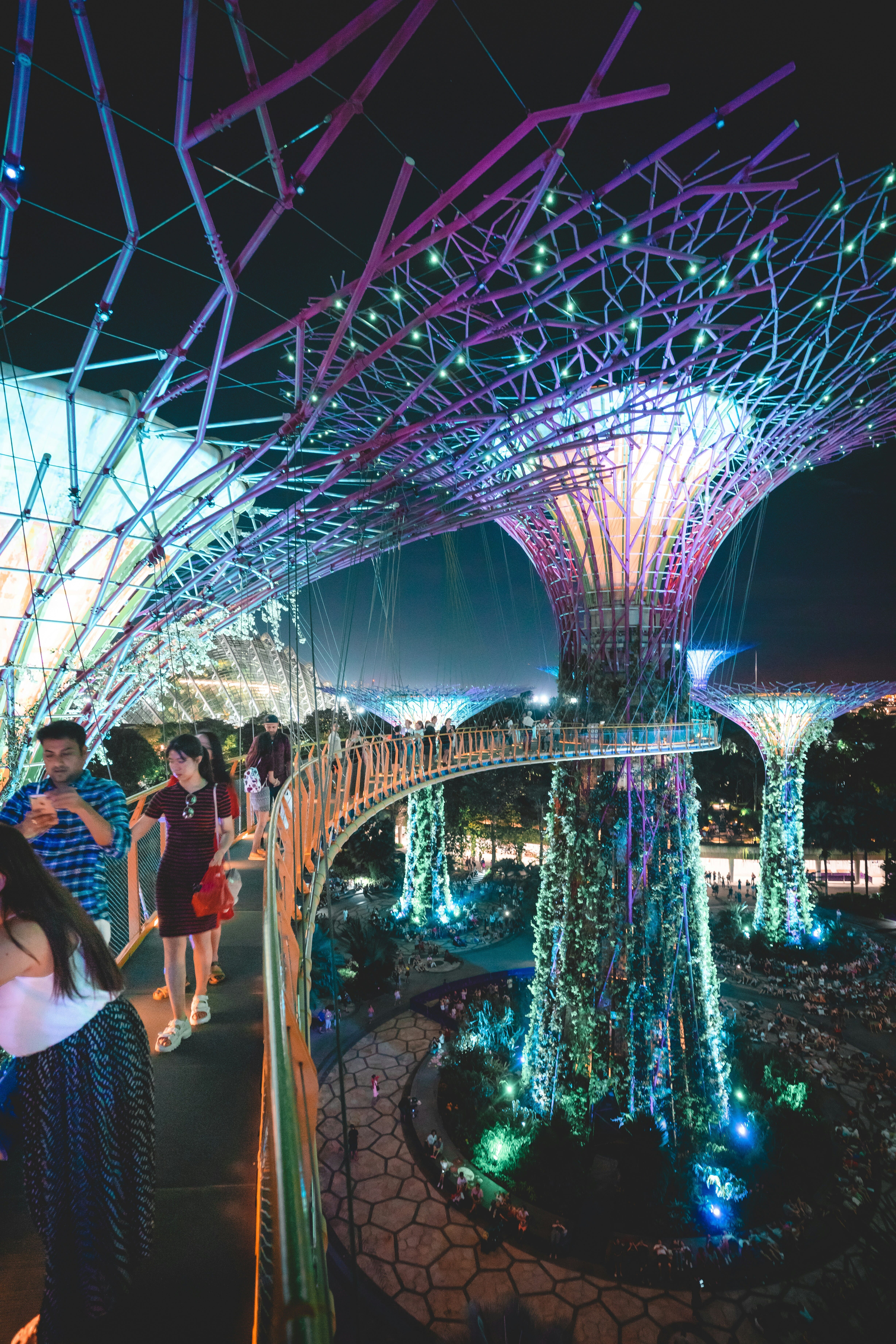 Supertree Grove in the Gardens by the Bay in Singapore