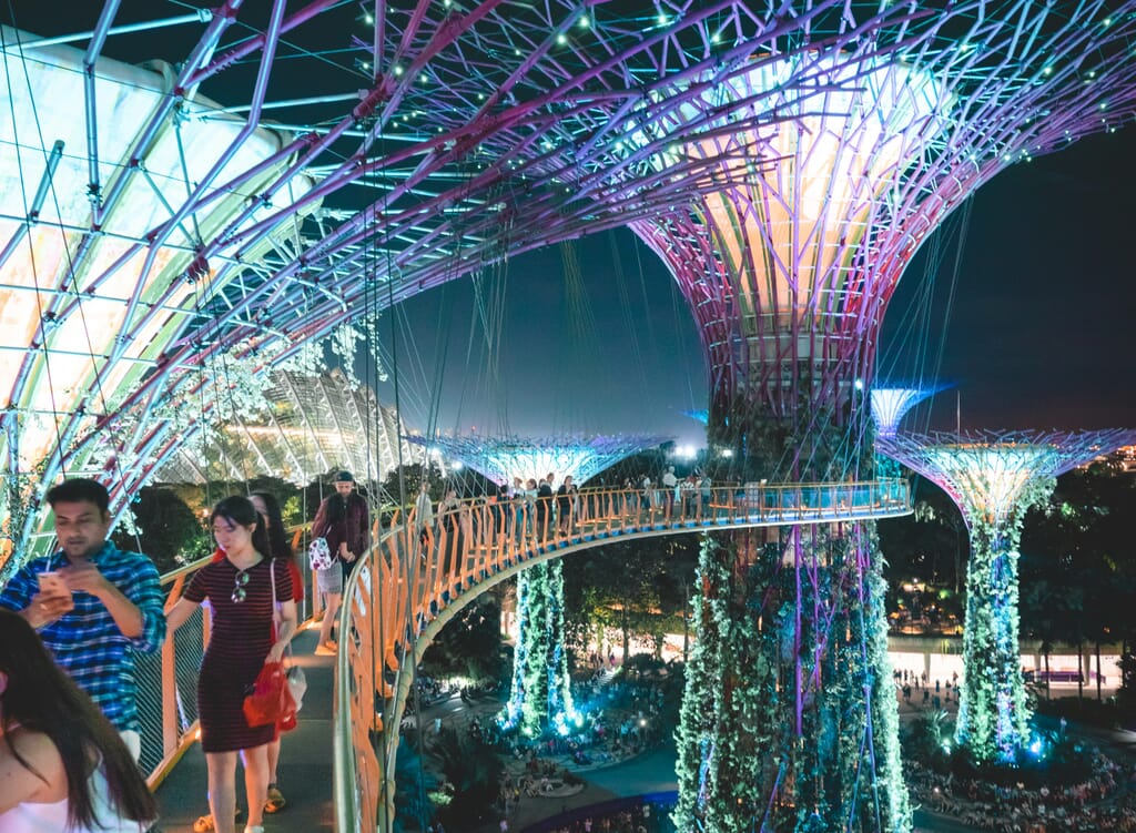 Supertree Grove in the Gardens by the Bay in Singapore