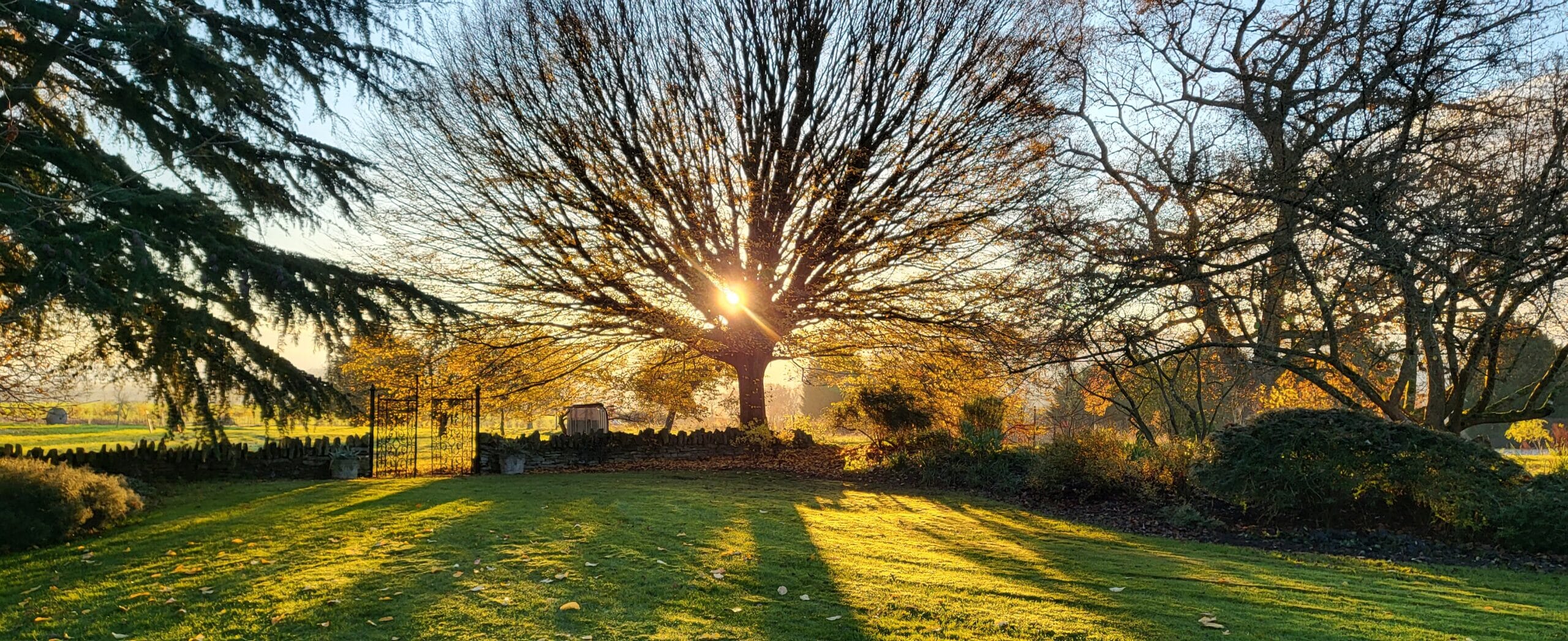 20221206_084529-scaled