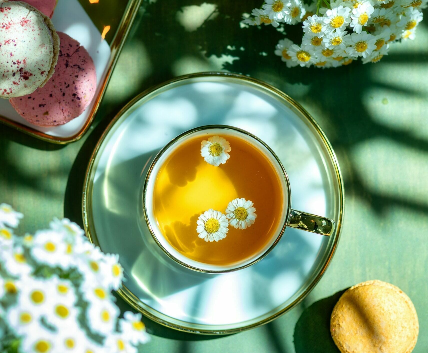 Feverfew taken in tea as a healing plant