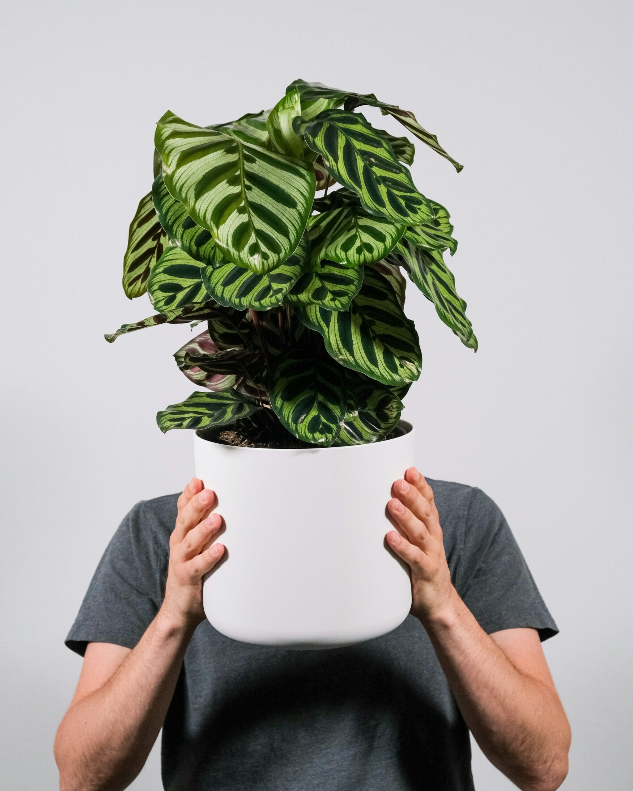 feey-66C2MYbqVfw-unsplash-scaled