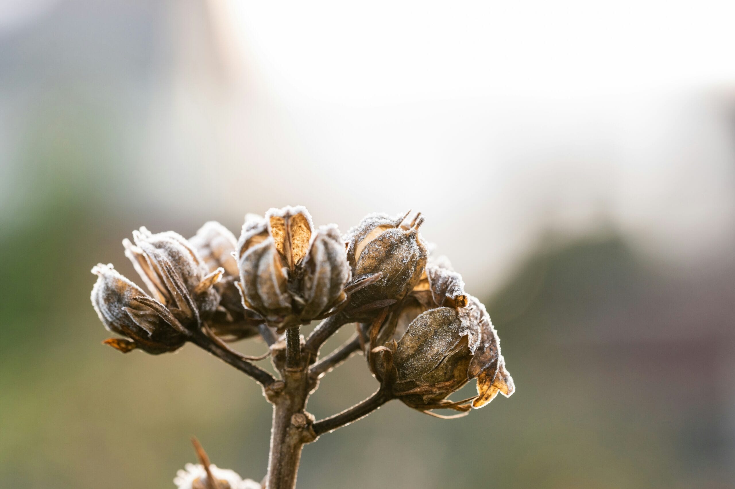 dominik scythe rgq1iOUGgJk unsplash