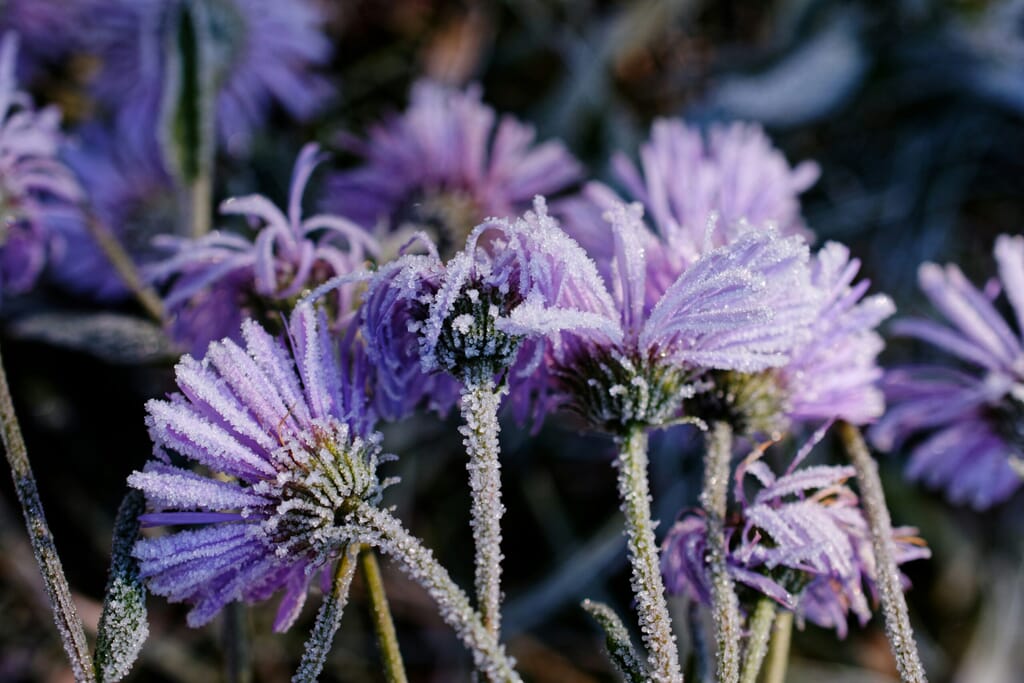 regine tholen C61 1JfE5f4 unsplash