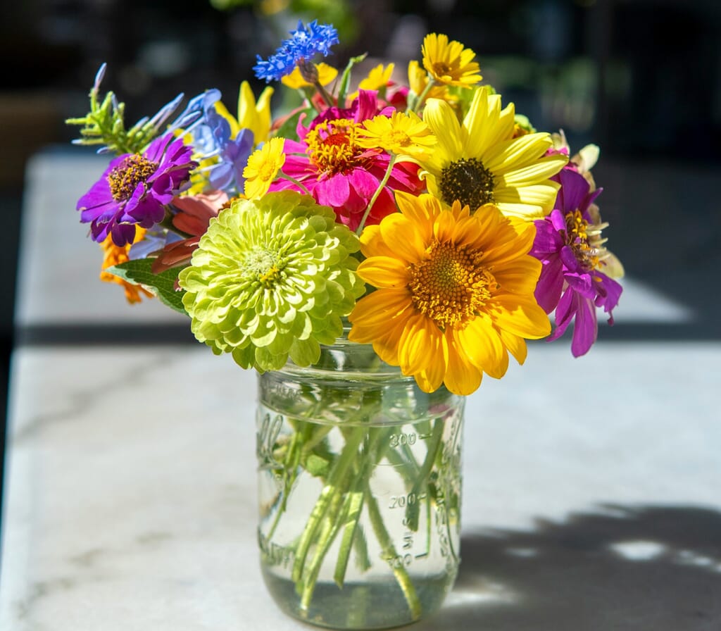 rakitha perera QZ9 WsKADO4 unsplash 1