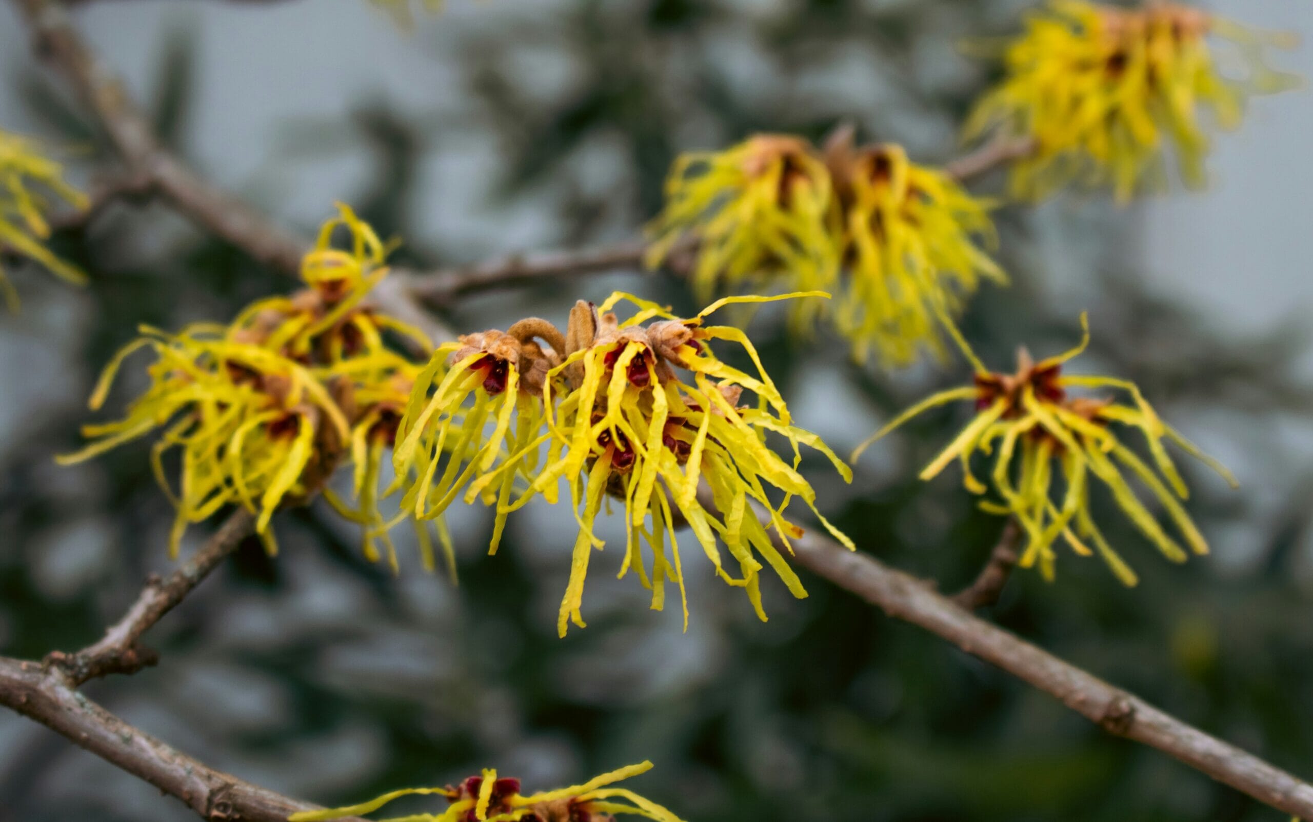 zoshua colah M24mEZlVVLM unsplash